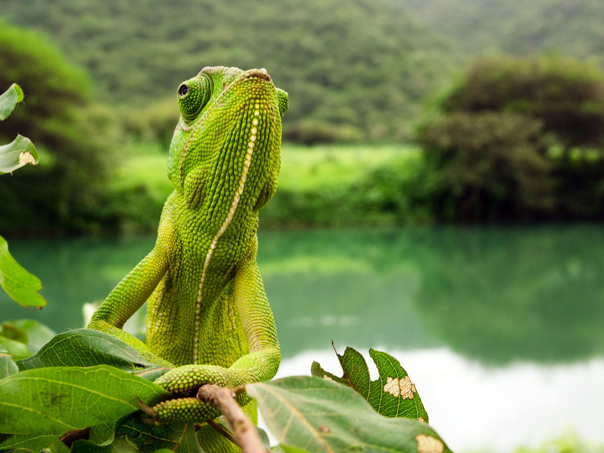 Photo of the day - National Geographic Channel - Canada