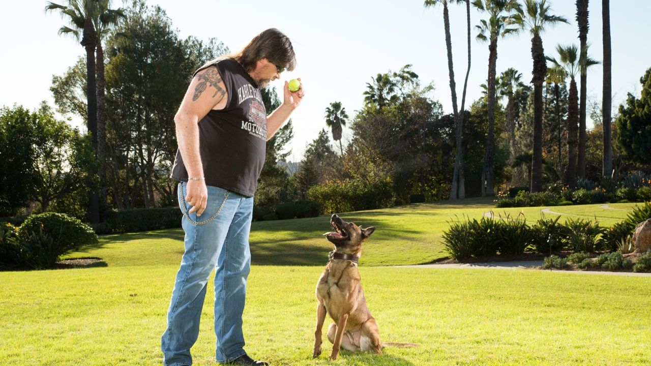 dog trainer tv show