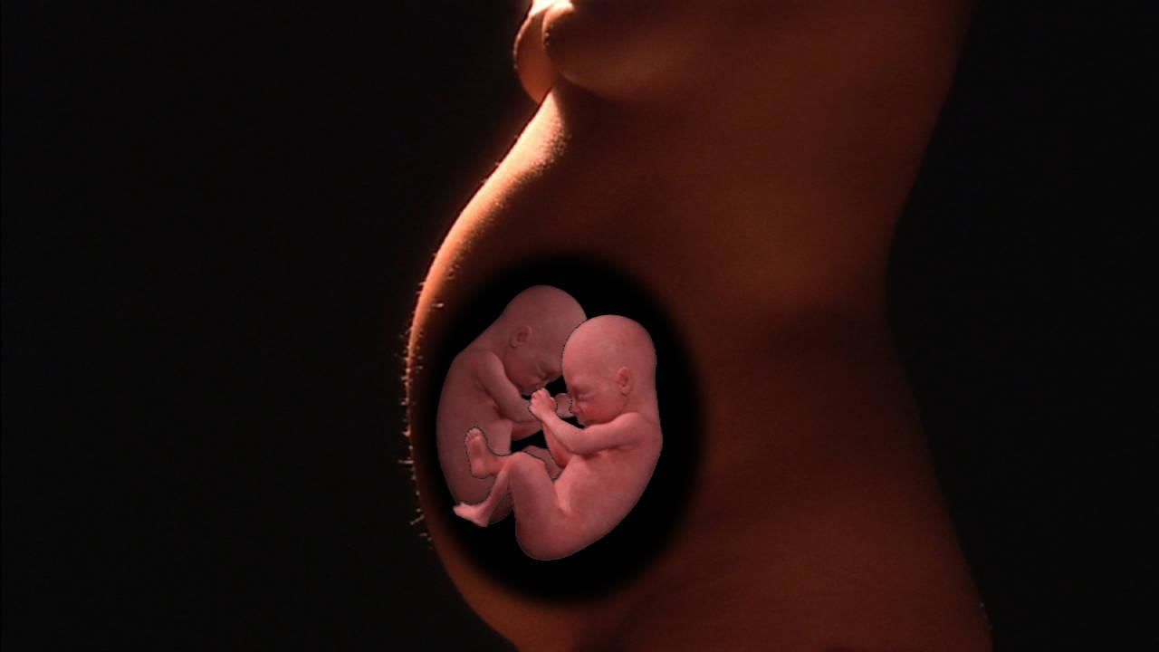 womb photography