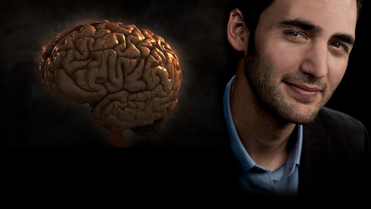 Perception vs. Brain Power Photos  Brain Games  National Geographic Channel  Canada