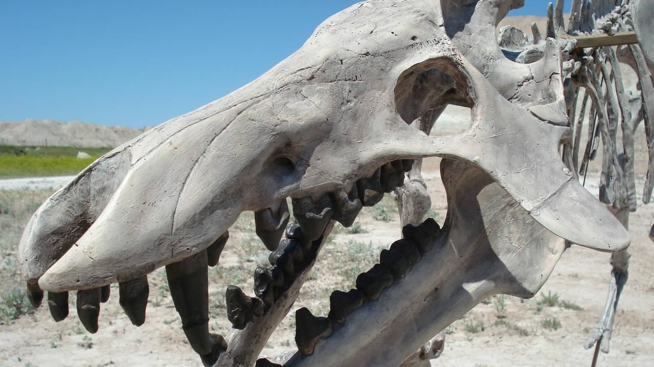Watch Prehistoric Predators Videos Online -- National Geographic Channel -- Canada