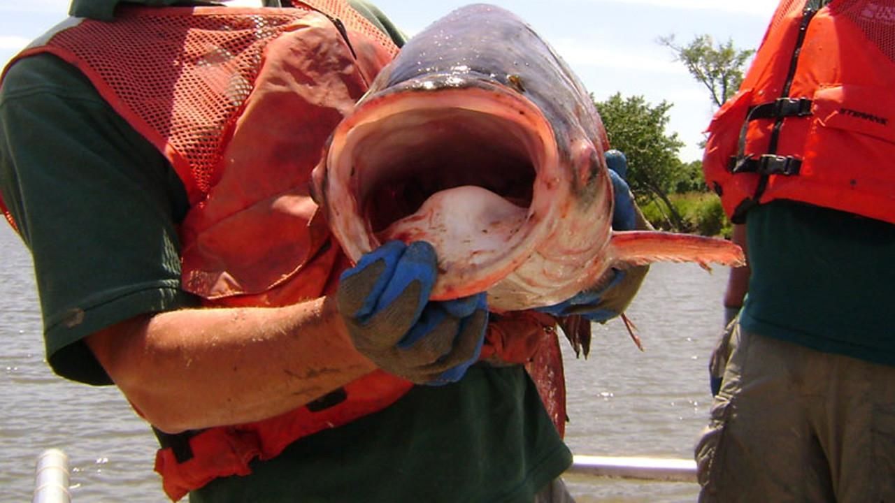 Hooked Monster Fishing