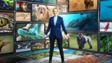 Shows - National Geographic Channel - Canada