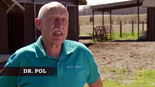 Who is Dr. Pol?